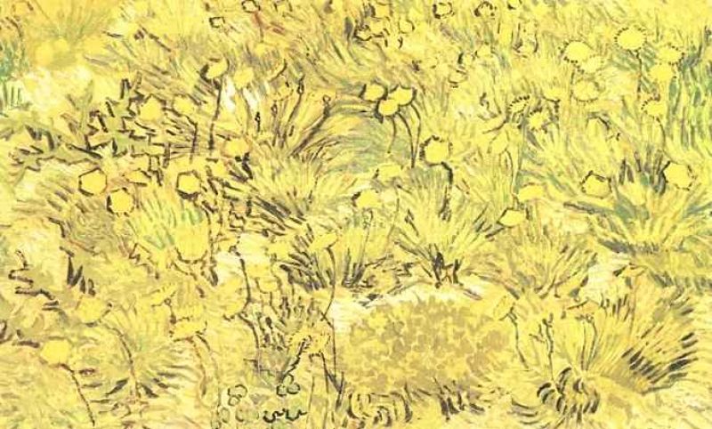 1889 champ de fleurs jaunes.jpg
